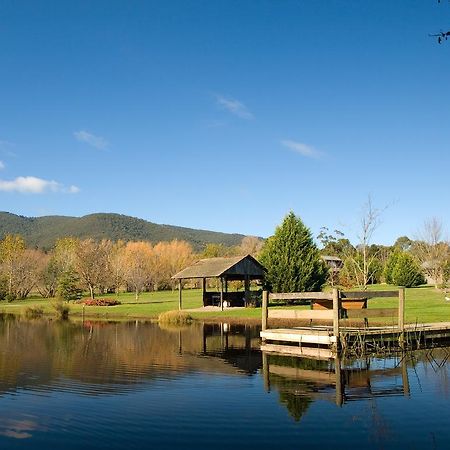 Sanctuary Park Cottages Healesville Exteriér fotografie