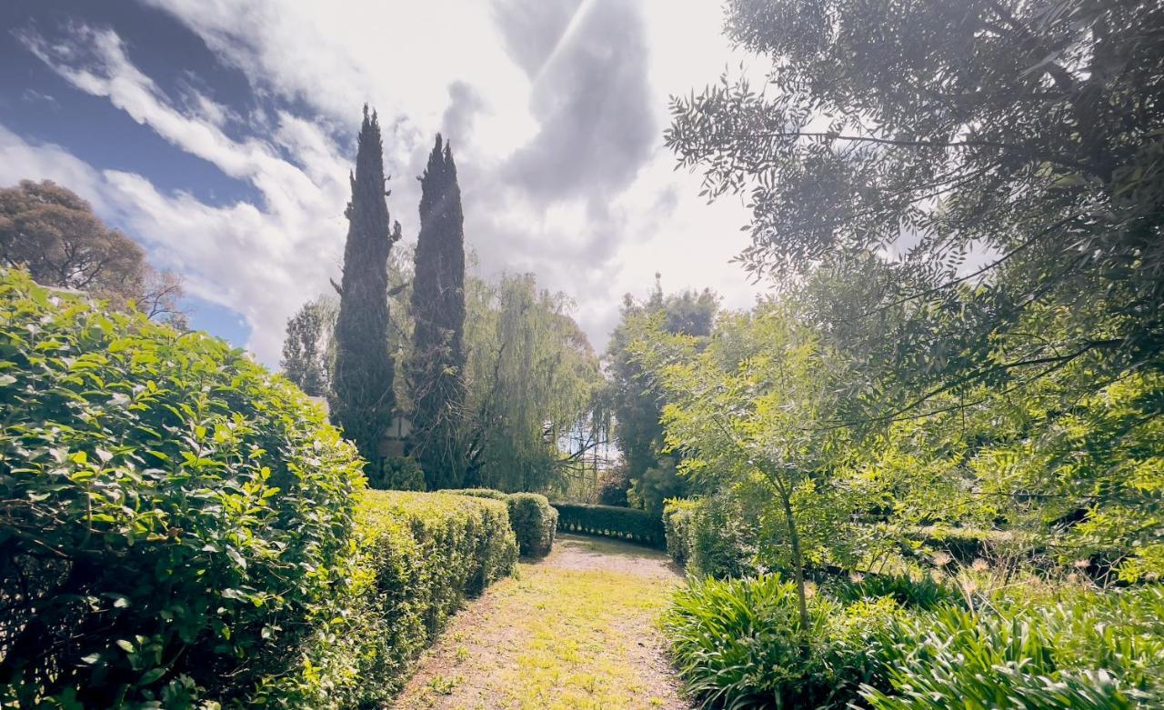 Sanctuary Park Cottages Healesville Exteriér fotografie