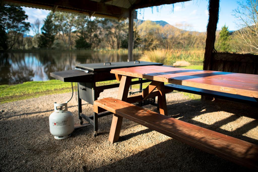 Sanctuary Park Cottages Healesville Exteriér fotografie