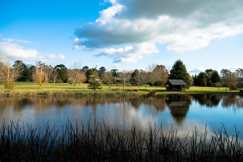 Sanctuary Park Cottages Healesville Exteriér fotografie