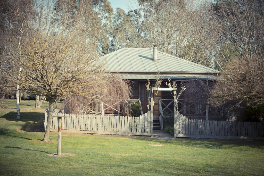 Sanctuary Park Cottages Healesville Exteriér fotografie