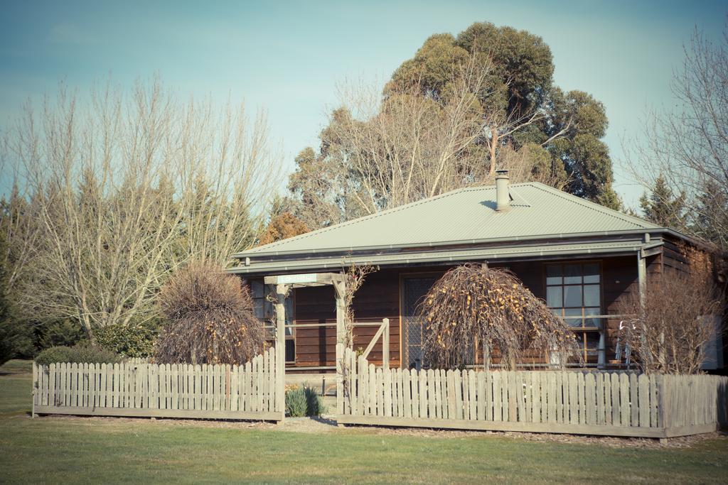 Sanctuary Park Cottages Healesville Exteriér fotografie