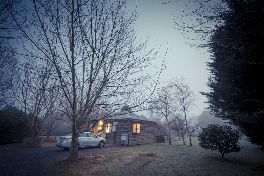 Sanctuary Park Cottages Healesville Exteriér fotografie