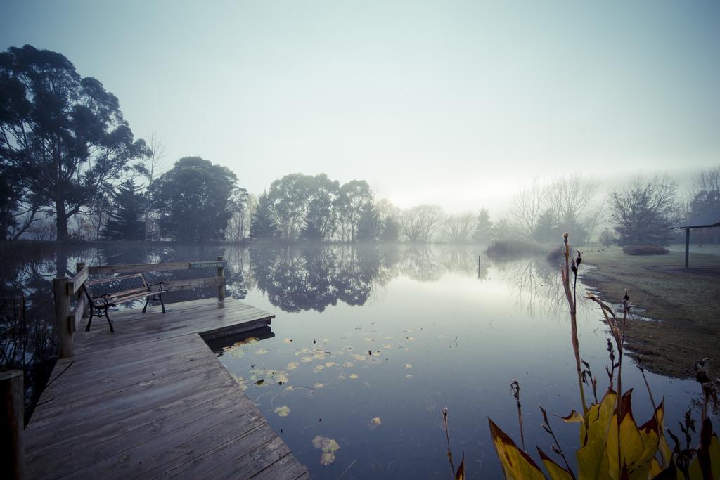 Sanctuary Park Cottages Healesville Exteriér fotografie