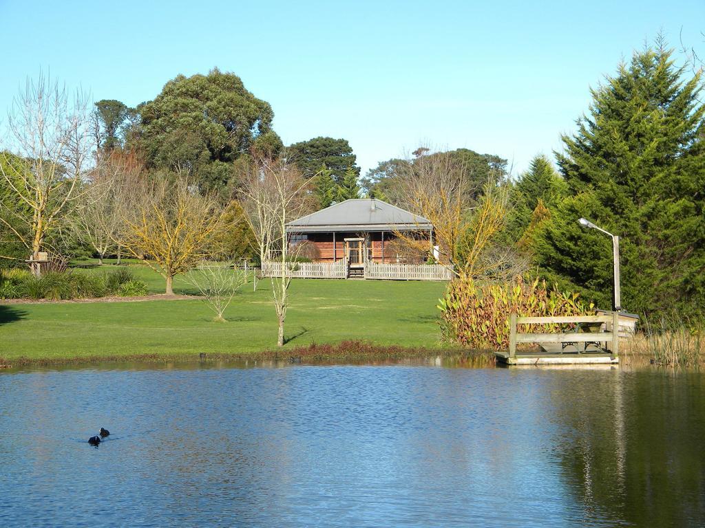 Sanctuary Park Cottages Healesville Pokoj fotografie