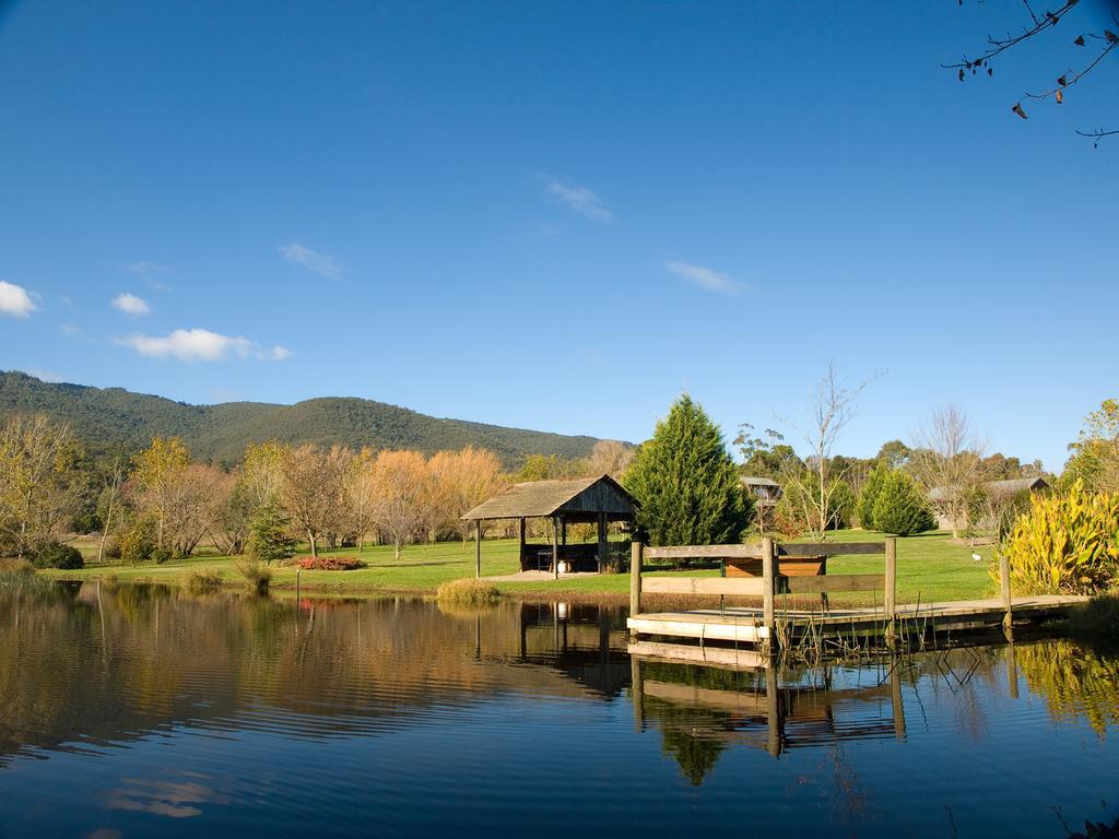 Sanctuary Park Cottages Healesville Exteriér fotografie