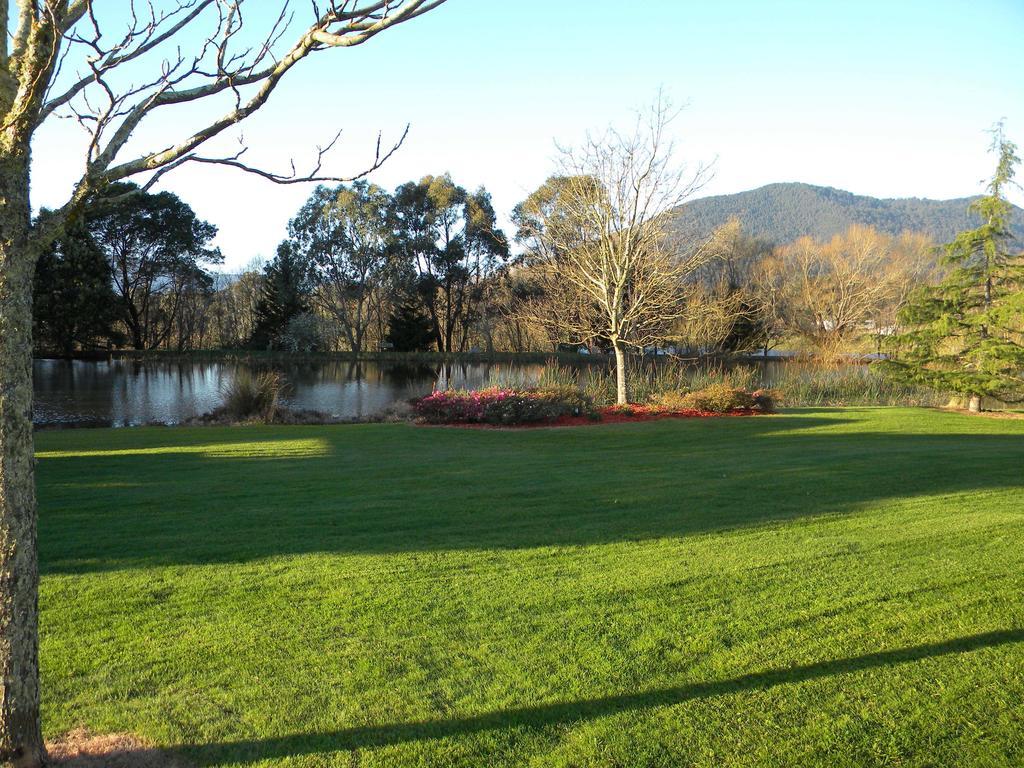 Sanctuary Park Cottages Healesville Exteriér fotografie