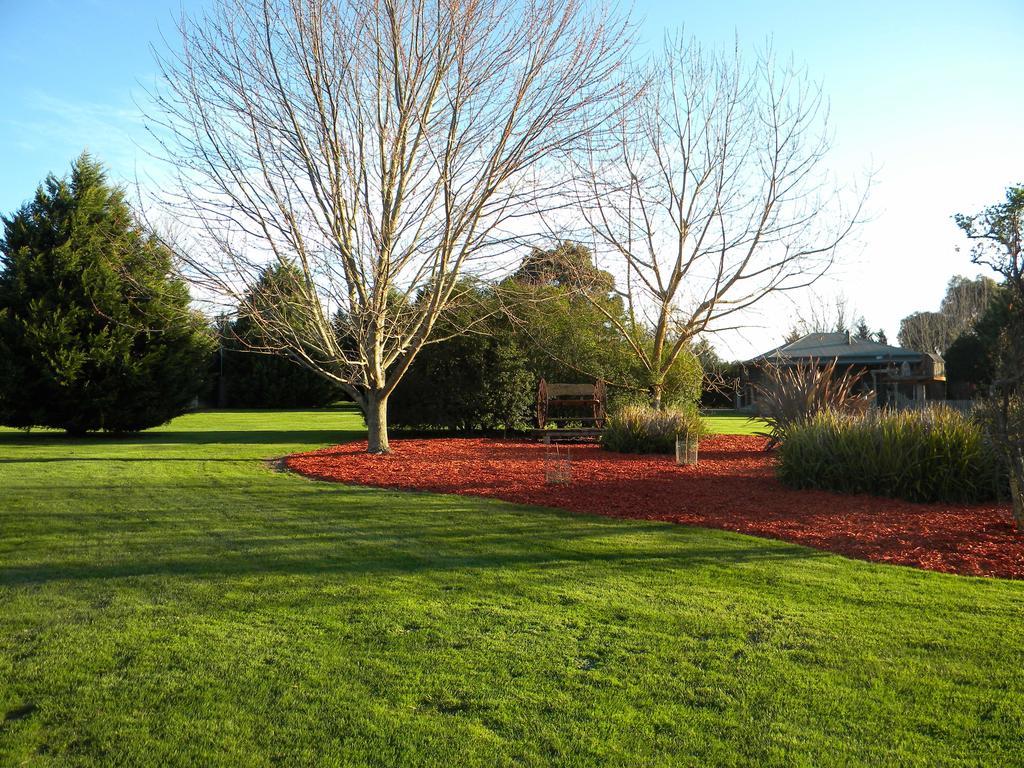 Sanctuary Park Cottages Healesville Exteriér fotografie